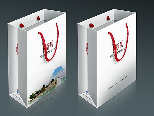 手提袋 承载生活与时尚的多功能伴侣